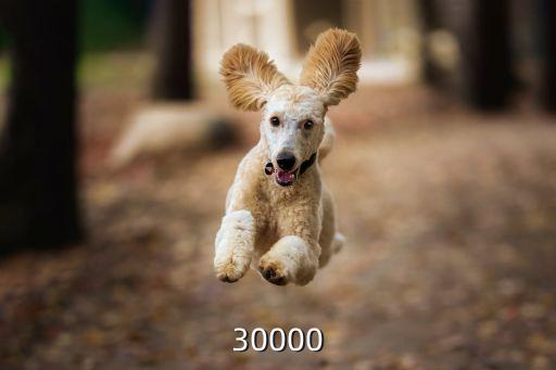 30000