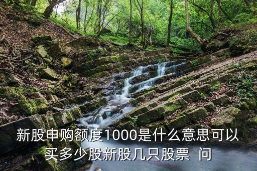 新股申購額度1000是什么意思可以買多少股新股幾只股票  問