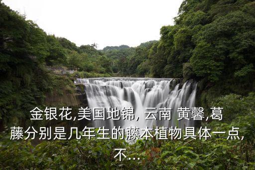 金銀花,美國地錦, 云南 黃馨,葛藤分別是幾年生的藤本植物具體一點,不...
