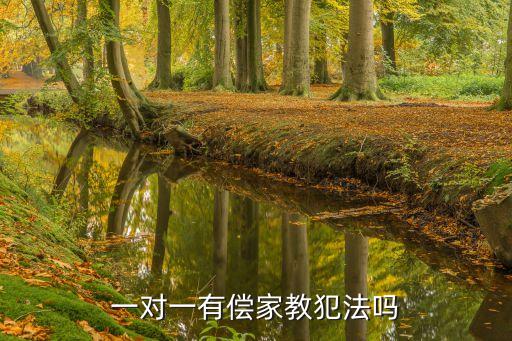 家教違法嗎，一對(duì)一有償家教犯法嗎