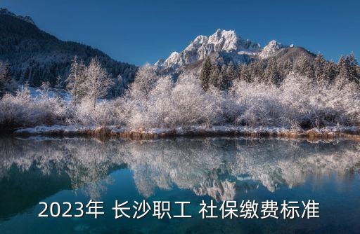 2023年 長沙職工 社保繳費標準