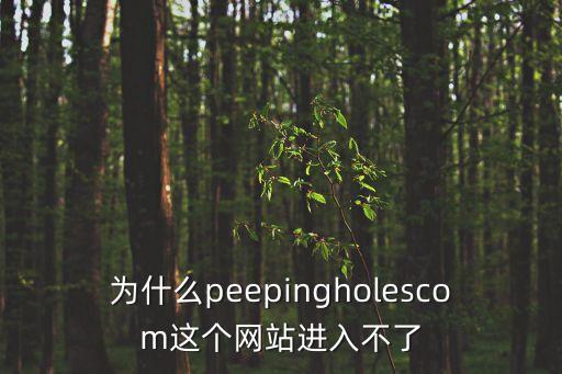 戀腳癖網(wǎng)站，wwwshenzhen pity com有這個網(wǎng)站嗎