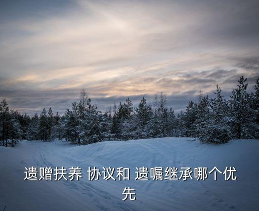 遺贈(zèng)協(xié)議效力大于遺贈(zèng)遺囑,遺贈(zèng)遺囑繼承法定繼承的優(yōu)先順序