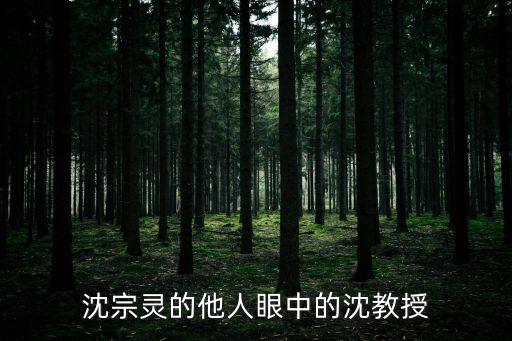 沈宗靈的他人眼中的沈教授