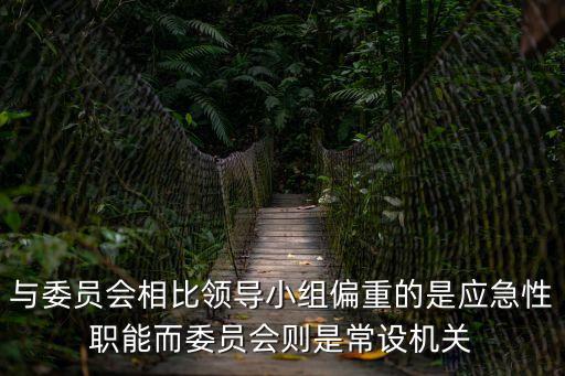 與委員會相比領(lǐng)導(dǎo)小組偏重的是應(yīng)急性職能而委員會則是常設(shè)機關(guān)