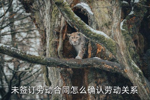 勞動和社會保障部關(guān)于確立勞動關(guān)系有關(guān)事項的通知，關(guān)于確立勞動關(guān)系有關(guān)事項的通知第三條第一款的法律怎樣理解  搜