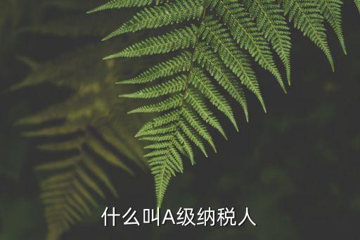 納稅等級評定標(biāo)準(zhǔn)，納稅信用等級評定標(biāo)準(zhǔn)除了2003年的文件有沒有出臺新的文件呢
