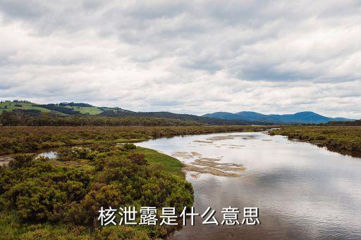 核泄露，核泄露是什么意思