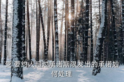 受要約人