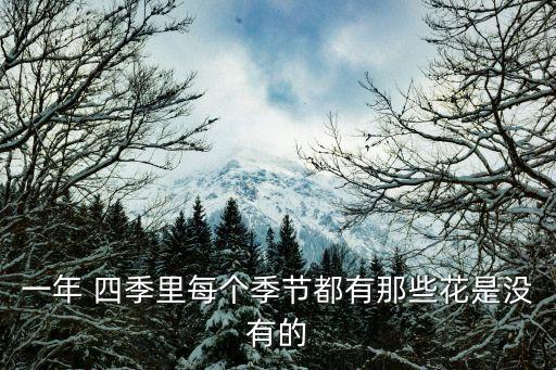 四季含笑