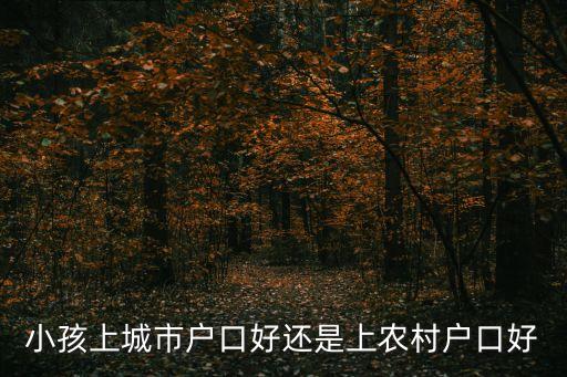 小孩上城市戶口好還是上農(nóng)村戶口好