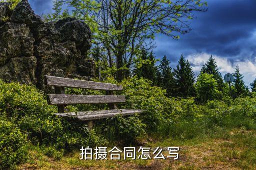 影視拍攝投資協(xié)議書(shū)