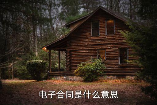 電子合同，電子合同有法律效力嗎