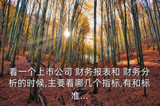 看一個(gè)上市公司 財(cái)務(wù)報(bào)表和 財(cái)務(wù)分析的時(shí)候,主要看哪幾個(gè)指標(biāo),有和標(biāo)準(zhǔn)...