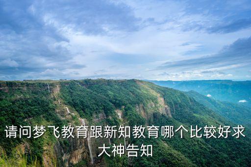 夢飛教育，請問夢飛教育跟新知教育哪個比較好求大神告知