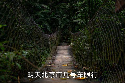 限號(hào)時(shí)間，明天星期六限號(hào)是幾號(hào)