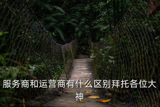服務商和運營商有什么區(qū)別拜托各位大神