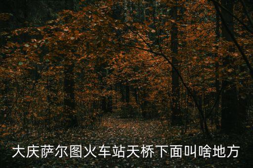 大慶薩爾圖火車站天橋下面叫啥地方