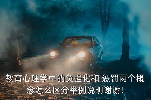 負懲罰