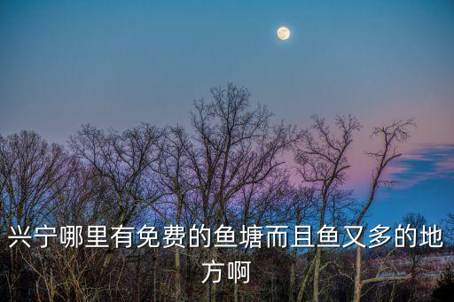 合水水庫，在那可以看到興寧合水水庫的全景