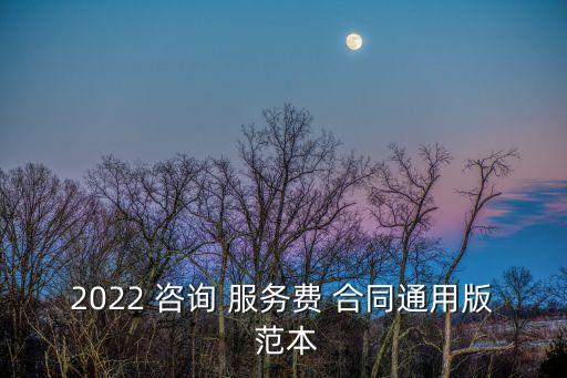 2022 咨詢 服務(wù)費(fèi) 合同通用版 范本