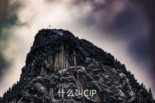 cip貿(mào)易術(shù)語，cip是什么