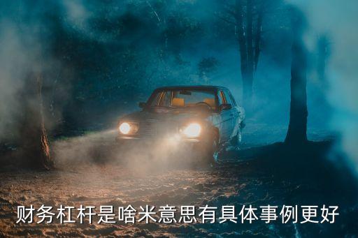 財務(wù)杠桿，財務(wù)杠桿是啥米意思有具體事例更好