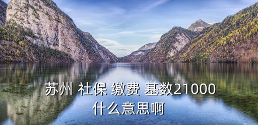  蘇州 社保 繳費(fèi) 基數(shù)21000什么意思啊