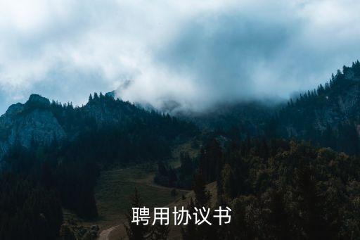 聘用合同怎么寫,聘用協(xié)議書范本