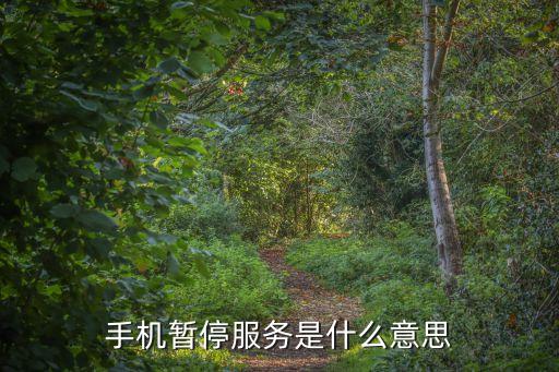 手機(jī)號(hào)碼已被暫停服務(wù)是什么意思，撥打手機(jī)暫停服務(wù)是什么意思