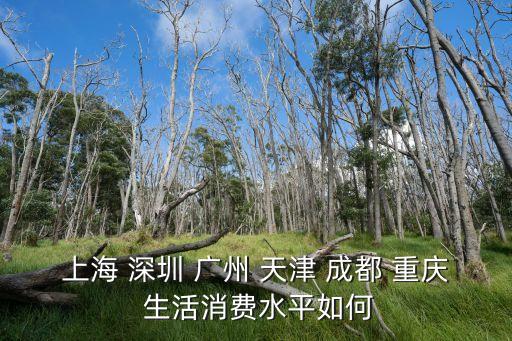 上海 深圳 廣州 天津 成都 重慶 生活消費水平如何