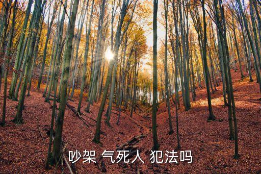 吵架 氣死人 犯法嗎