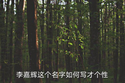 李嘉輝，羊年男寶李嘉輝名字怎么樣