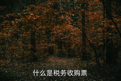 收購發(fā)票，什么是稅務(wù)收購票