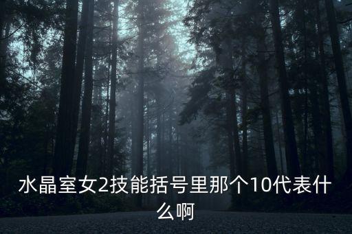 水晶室女2技能括號(hào)里那個(gè)10代表什么啊