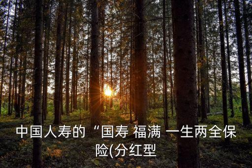 福滿一生,國壽福滿一生