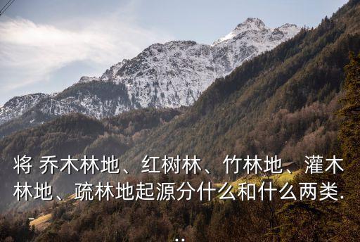 喬木林