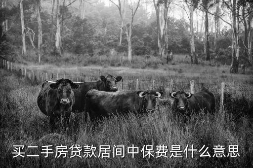 居間費是什么意思，中介費與居間報酬有甚么不同含義