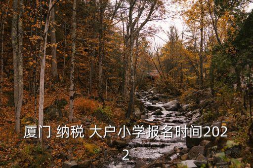 納稅大戶,中國第一納稅大戶