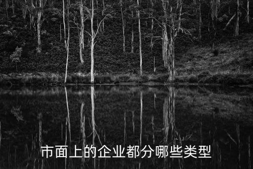 企業(yè)分類，企業(yè)分哪些種類