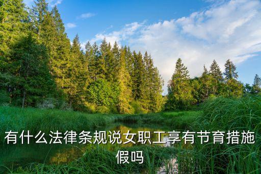 節(jié)育假，什么是節(jié)育假