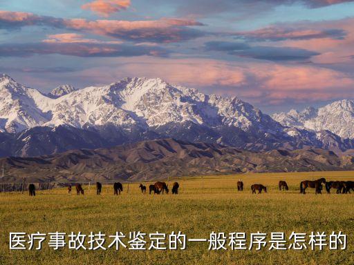 醫(yī)療事故鑒定流程，醫(yī)療事故鑒定流程