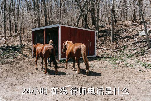 24小時 在線 律師電話是什么