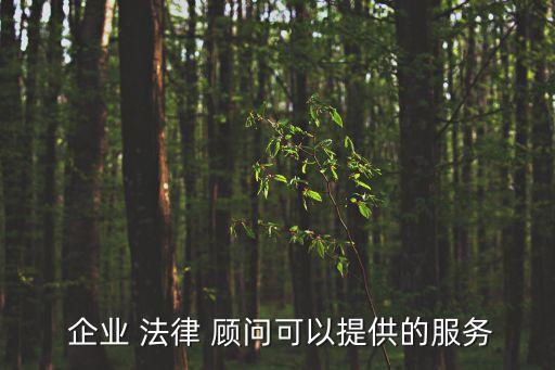  企業(yè) 法律 顧問可以提供的服務(wù)