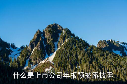 什么是上市公司年報預(yù)披露披露