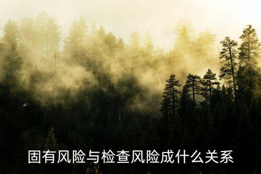 固有風(fēng)險，審計題收入交易和余額存在的固有風(fēng)險