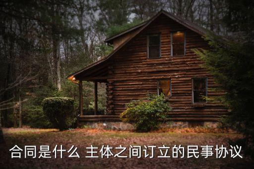 合同法主體
