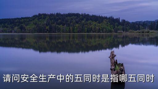 請問安全生產(chǎn)中的五同時是指哪五同時