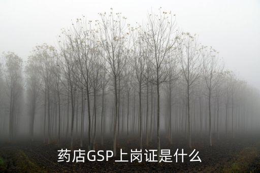 藥店GSP上崗證是什么