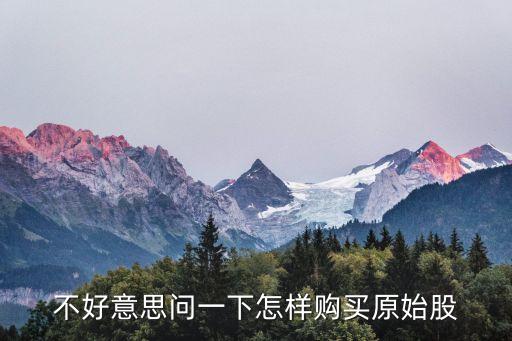 不好意思問一下怎樣購買原始股